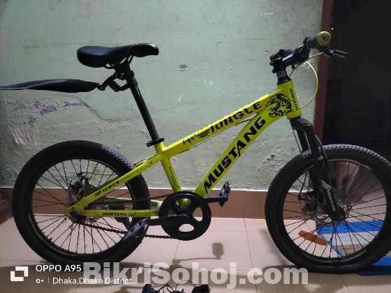 বাইসাইকেল